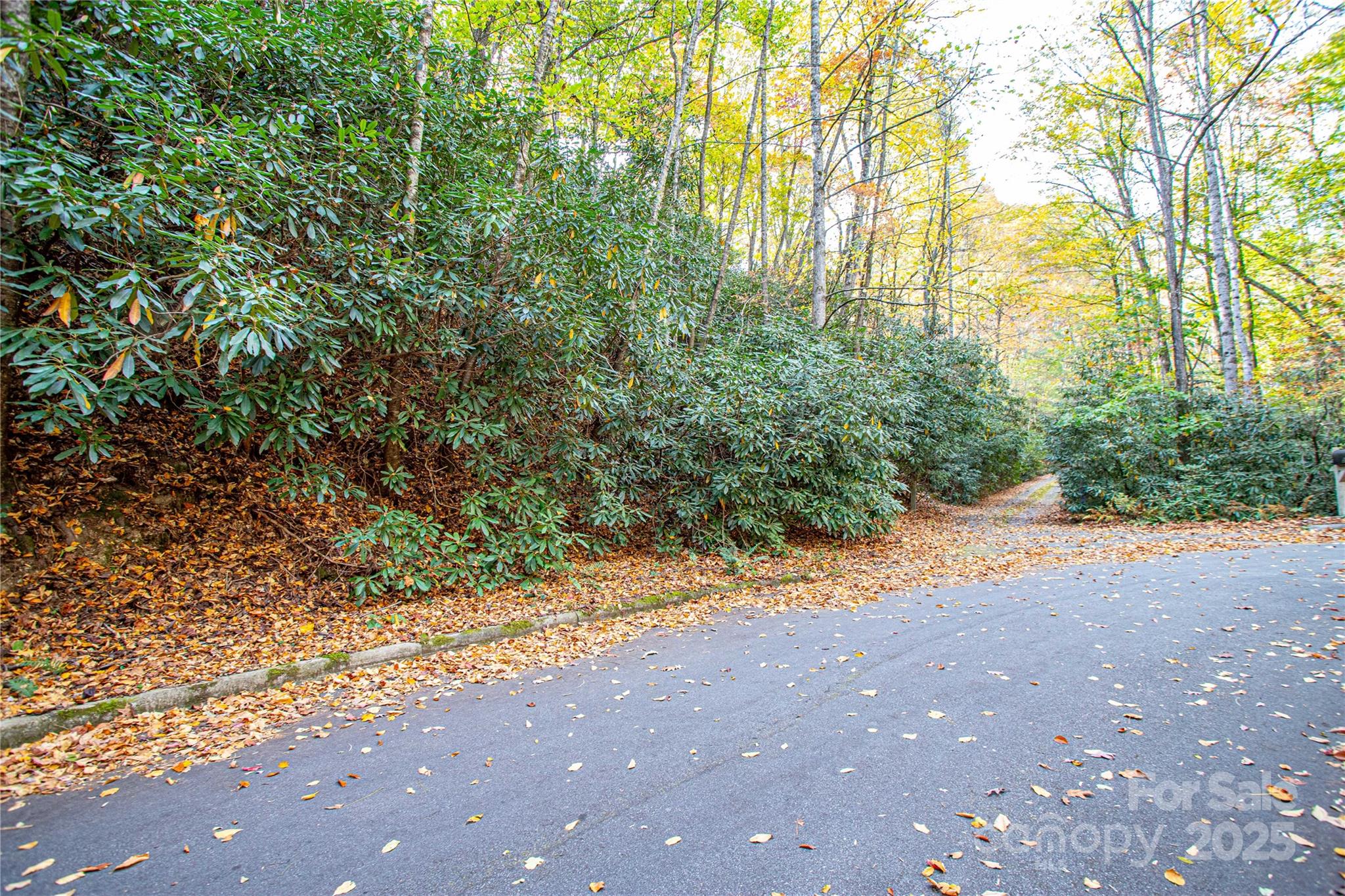 Deerlake Village - Land