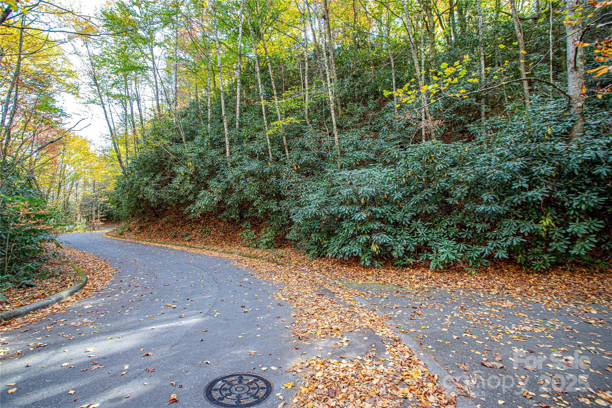 Deerlake Village - Land