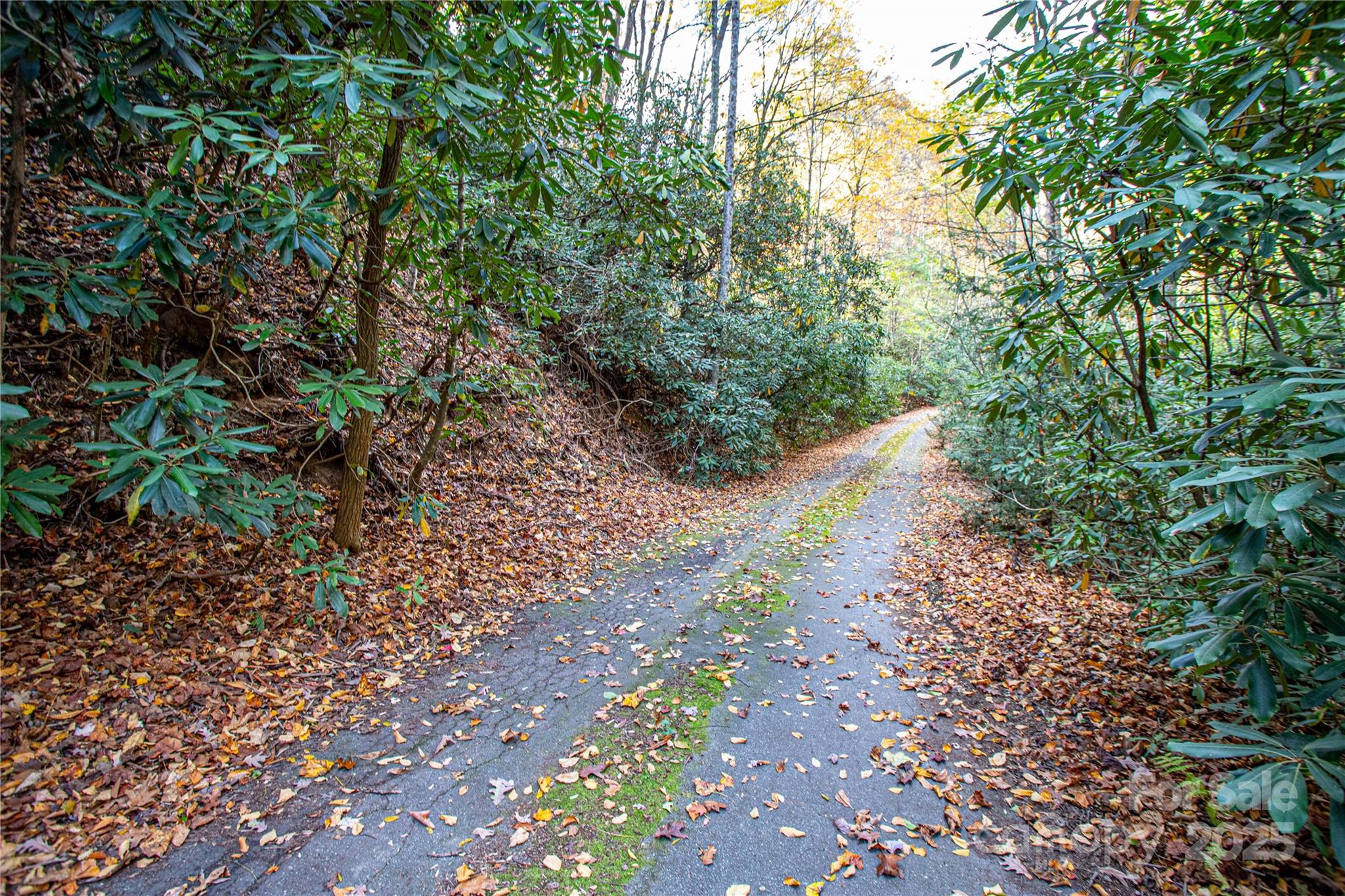 Deerlake Village - Land