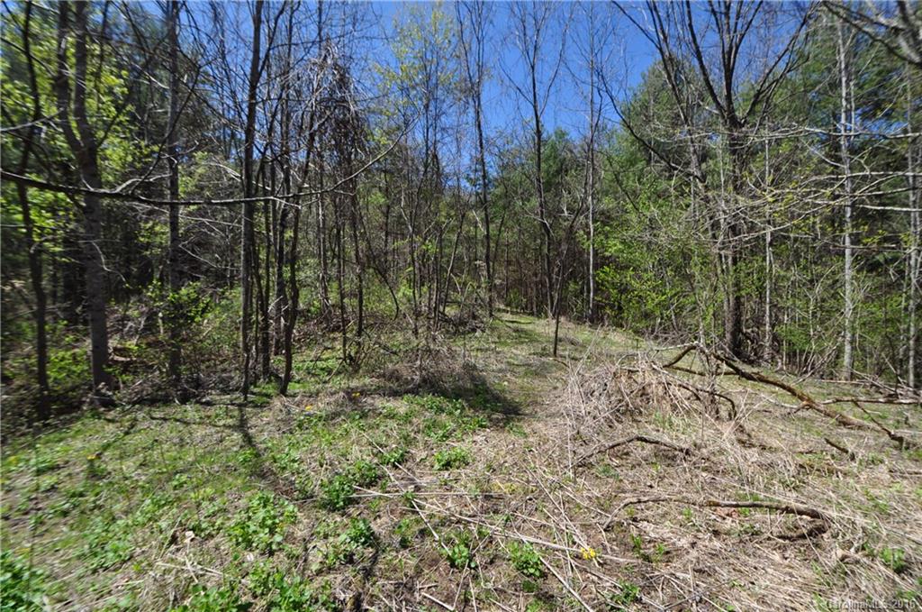 Photo 1 of 5 — 00 D & G Road, Hot Springs, NC 28743