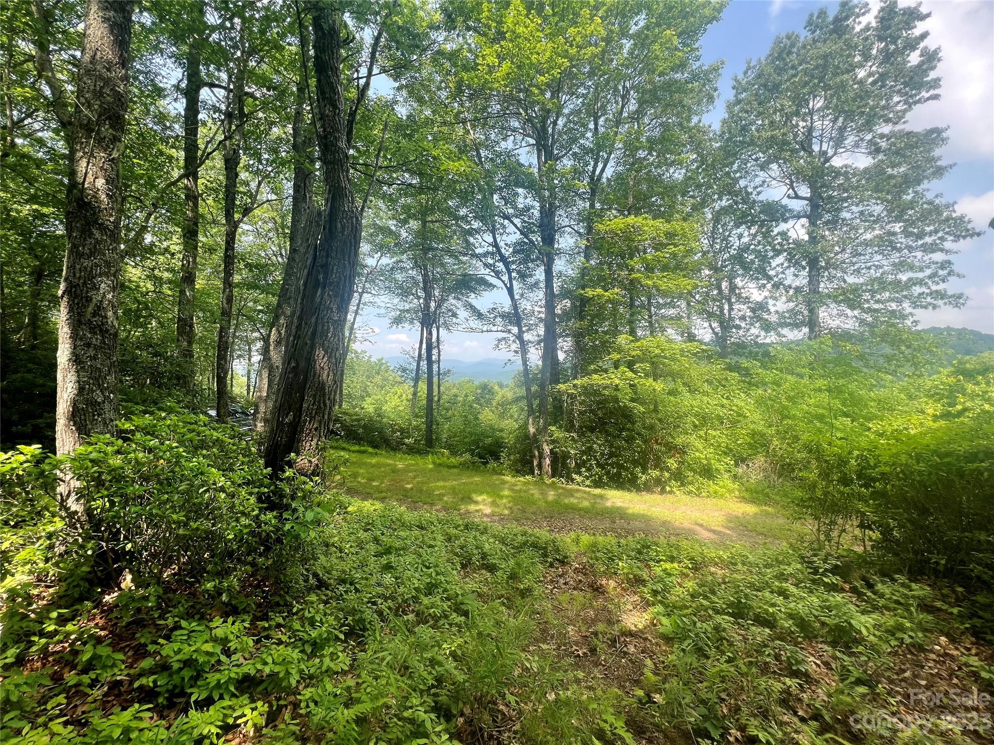 Joshua Summit - Land