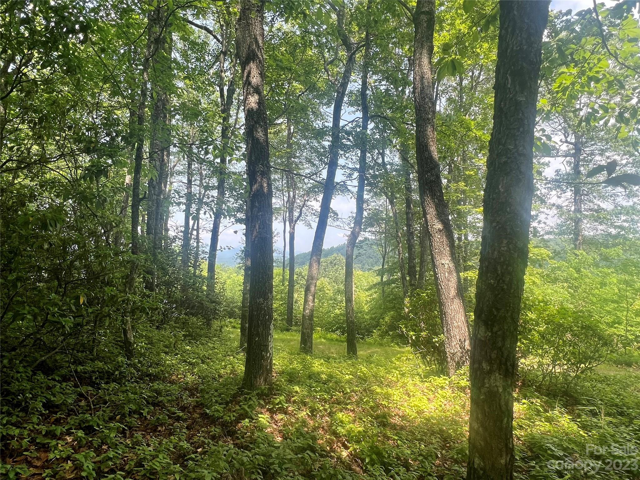 Joshua Summit - Land