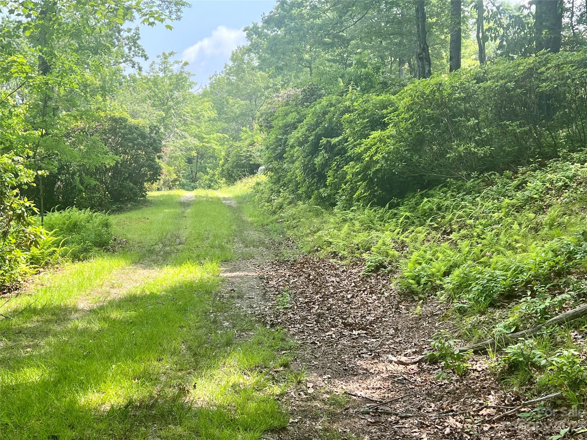 Joshua Summit - Land