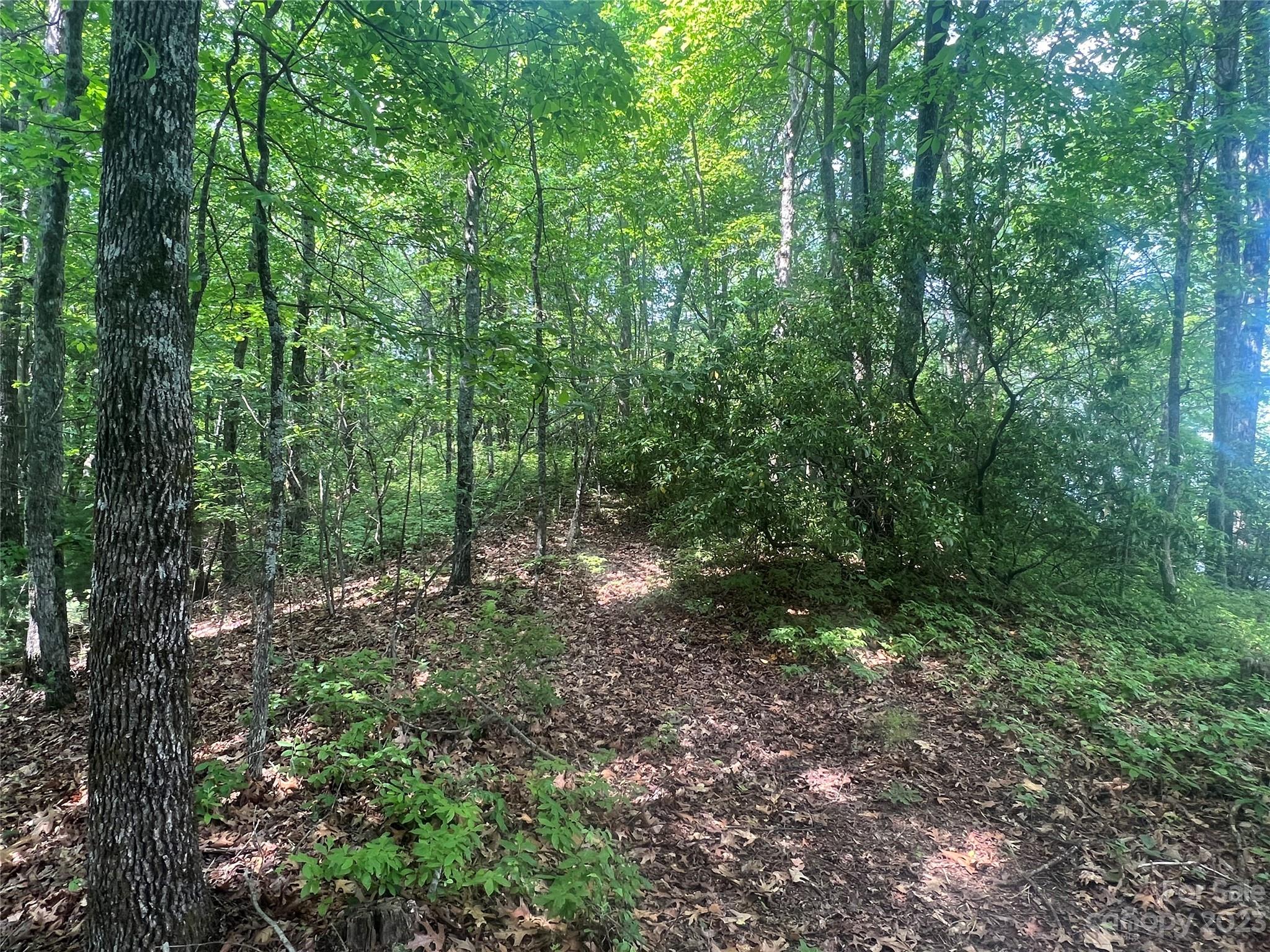 Joshua Summit - Land