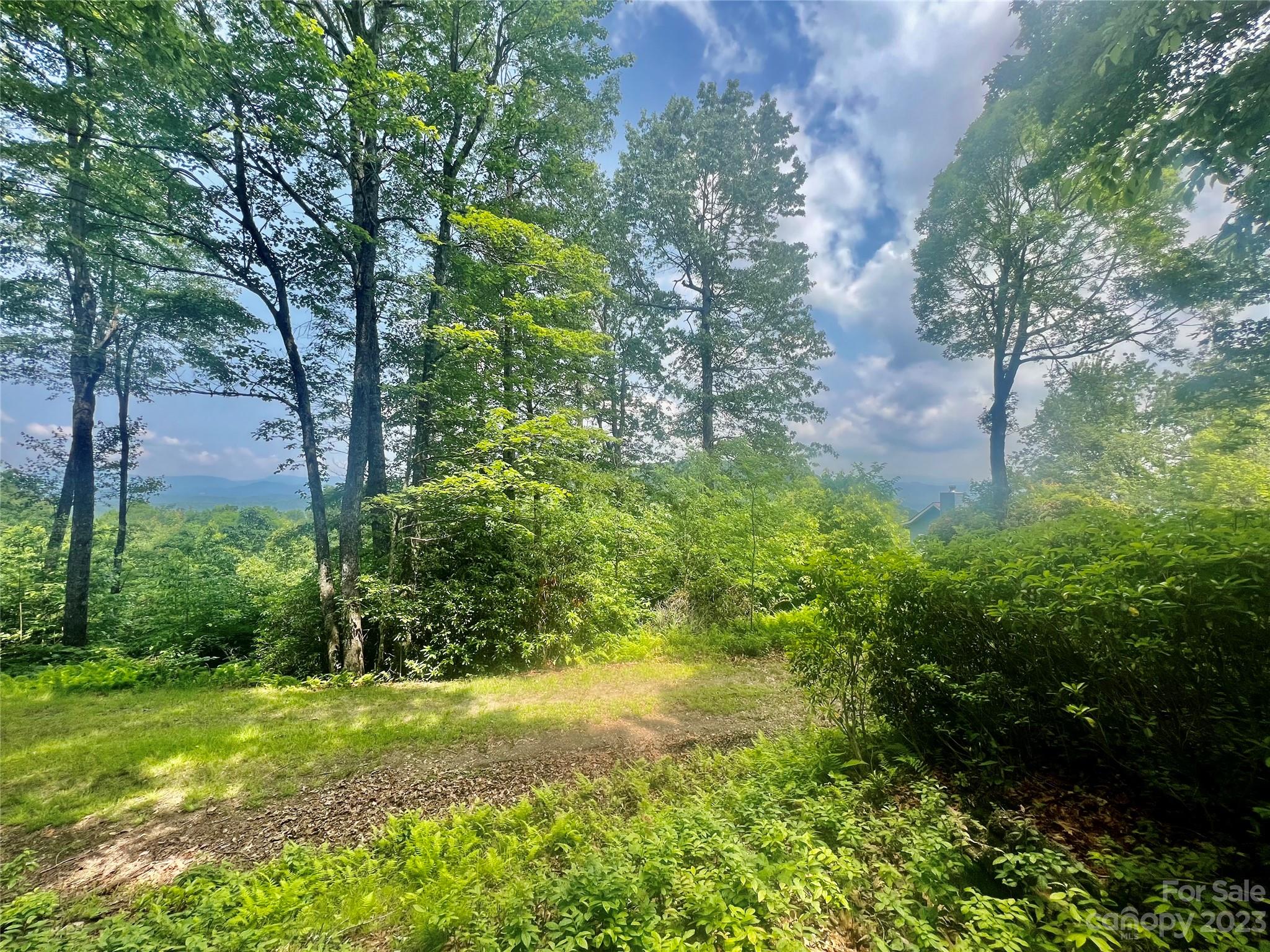 Joshua Summit - Land