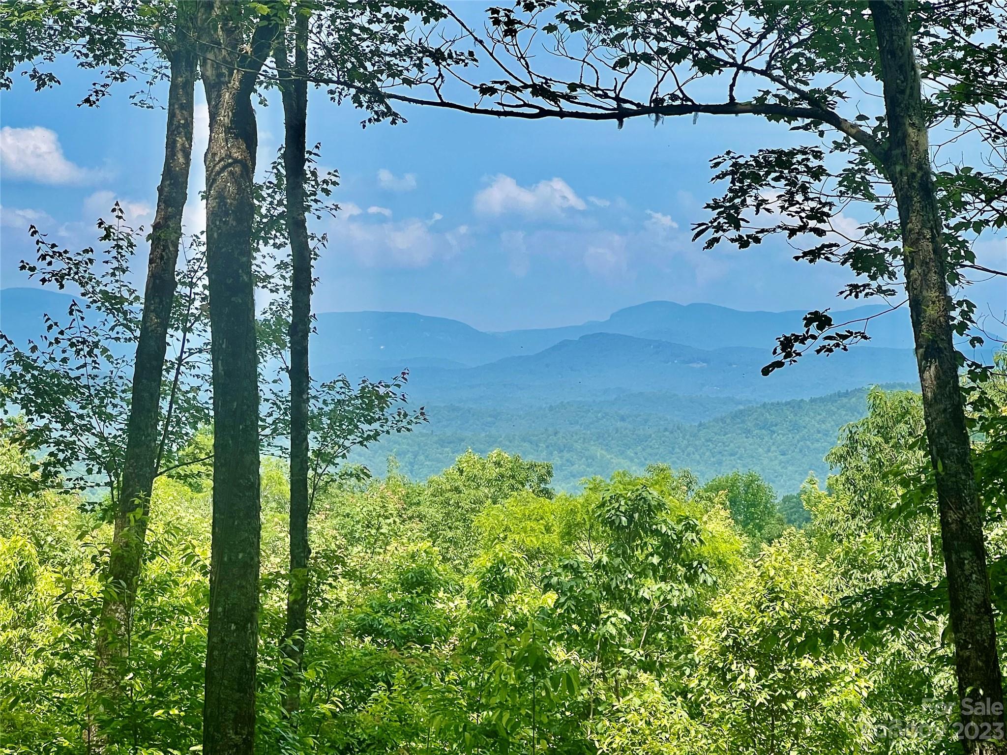 Joshua Summit - Land