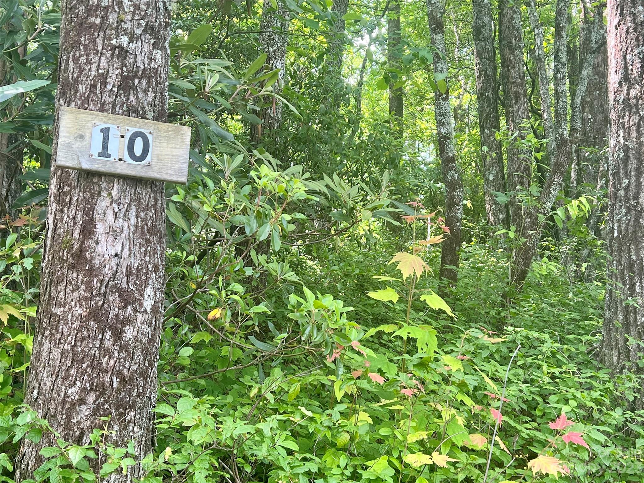 Joshua Summit - Land