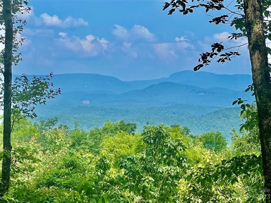 Views! Views! Views! If you are looking for and absolutely beautiful lot that is off the beaten path, this one is for you. High atop a knoll in Joshua Summit is lot 10. It boasts Northern views of the Blue Ridge Parkway, Western Views of Hogback Mountain, and Eastern Views of the Headwaters State Park. The topography of this lot makes it very usable and an easy build. The minimum square footage to build is 900. That makes it perfect for your mountain getaway. Joshua Summit and Line Runner ridge also has a gated entrance. With this lot, you have the option to pay a yearly fee for rights to enjoy Line Runner Lake, a private eleven-acre lake. There is a dock and picnic area for their use at the Northwest corner of the lake. You can enjoy paddle sports and fishing for bass, catfish, and trout. This mountain paradise is only 5.5 miles from all the conveniences of Main Street Rosman and 14 miles from Main Street Brevard.