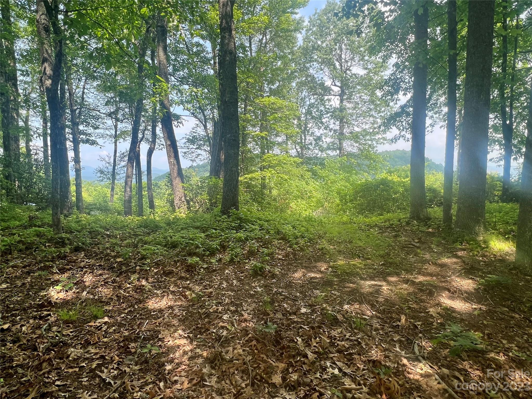 Joshua Summit - Land