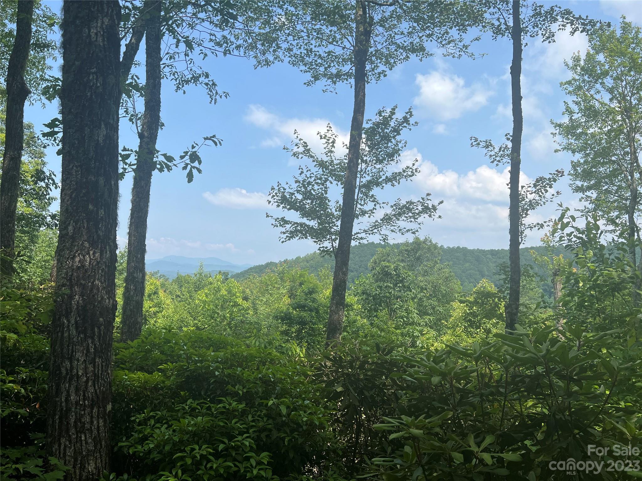 Joshua Summit - Land