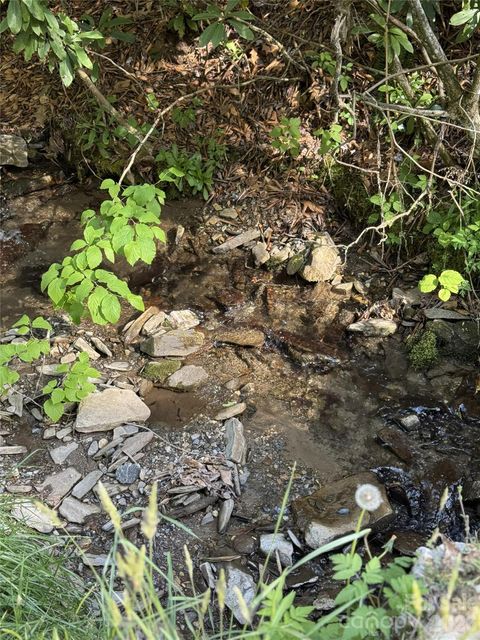 Photo of 000 Unahala Creek Drive, Bryson City, NC 28713 (MLS # 4373812)