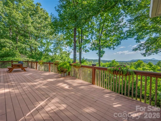 837 BIG RAVEN LN, SALUDA, NC 28773 - Image 08b47486ee48449f6894ad2ae7e6cece/2296971945