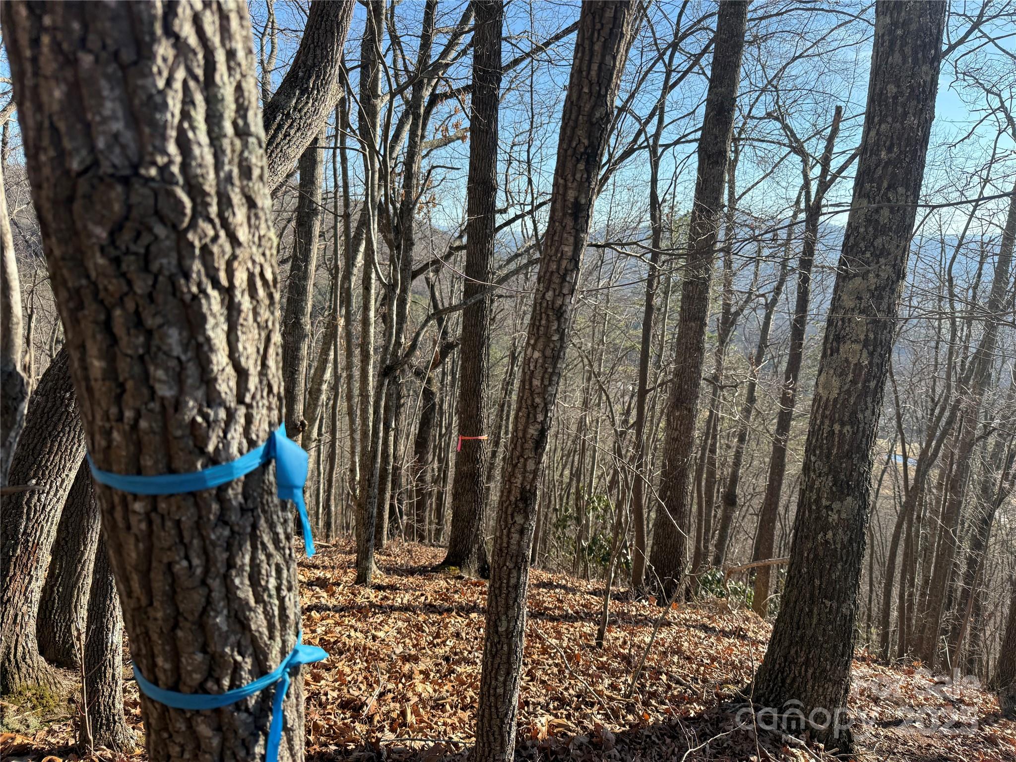 Lot 12 Bernies Trail 12