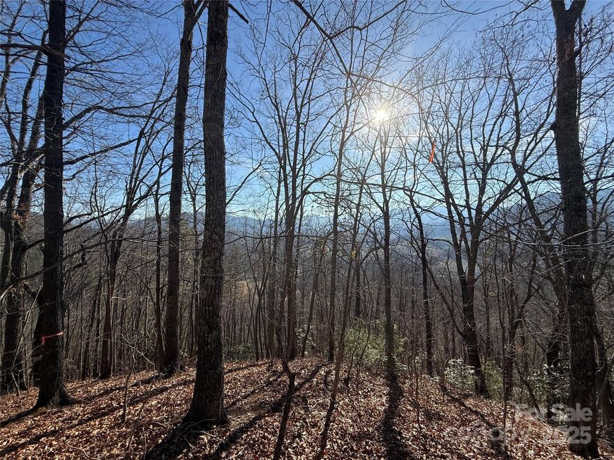 Tucked at the end of the cul-de-sac, Lot 12 offers that rare mix of privacy, views, and build-friendly terrain. The setting feels settled and intentional — no pass-through traffic, just a quiet pocket at the edge of the ridge where the land opens up toward the mountains.

The topography is ideal for a daylight basement, making this a smart lot for a home that lives large without feeling oversized. Think lower-level living space, guest quarters, studio, or recreation room that opens naturally to the landscape instead of feeling buried in it.

From here, you’ll enjoy views toward Great Smoky Mountains National Park, reminding you daily why people come to Western North Carolina and never quite leave. Morning light, changing seasons, and long-distance scenery give this lot a sense of scale that elevates the entire homesite.

One of the quiet advantages of Lot 12 is the price point — it leaves room in the budget for more home, better finishes, or thoughtful outdoor living spaces. Less spent on dirt, more invested in how you live on it.

Private, practical, and well-positioned — Lot 12 is mountain living done right.