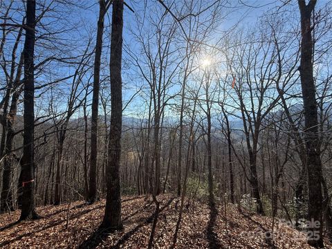 Lot 12 Bernies Trail 12 Waynesville NC 28785