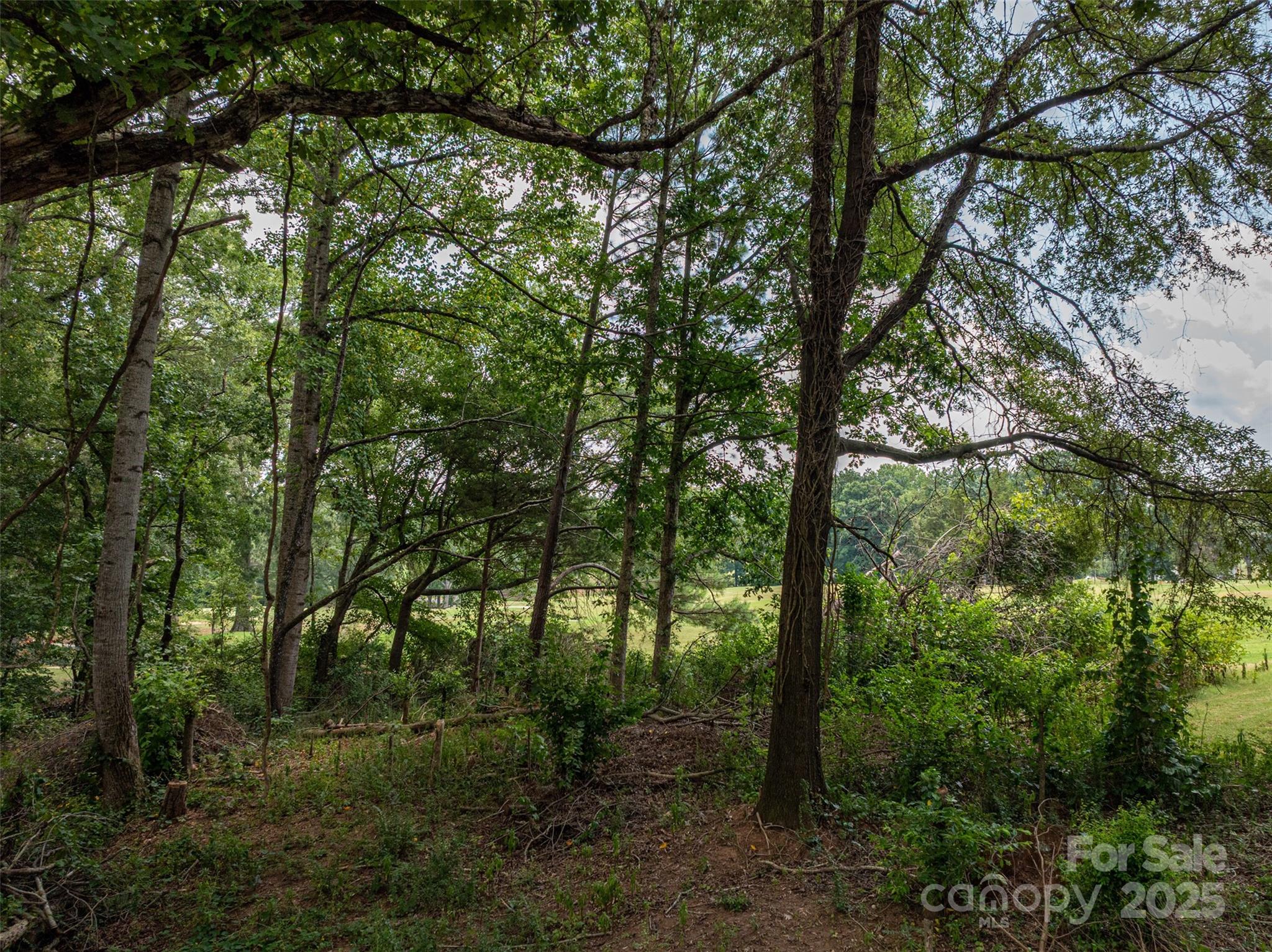 1008 Rocky Ridge Drive