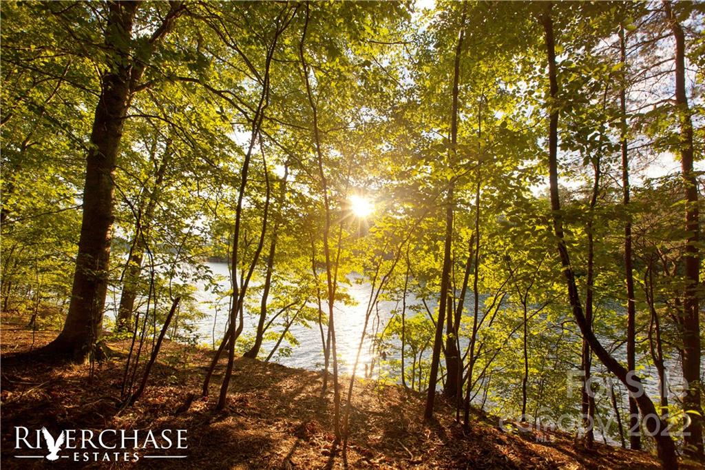 Riverchase Estates - Residential