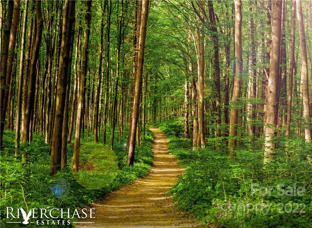 Riverchase Estates - Residential