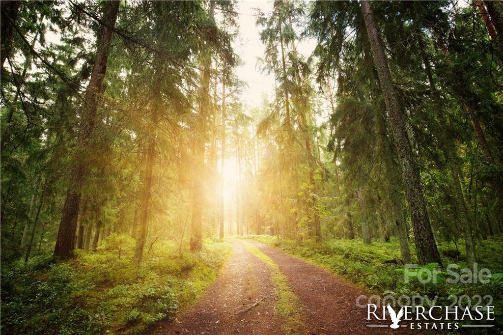 Riverchase Estates - Residential