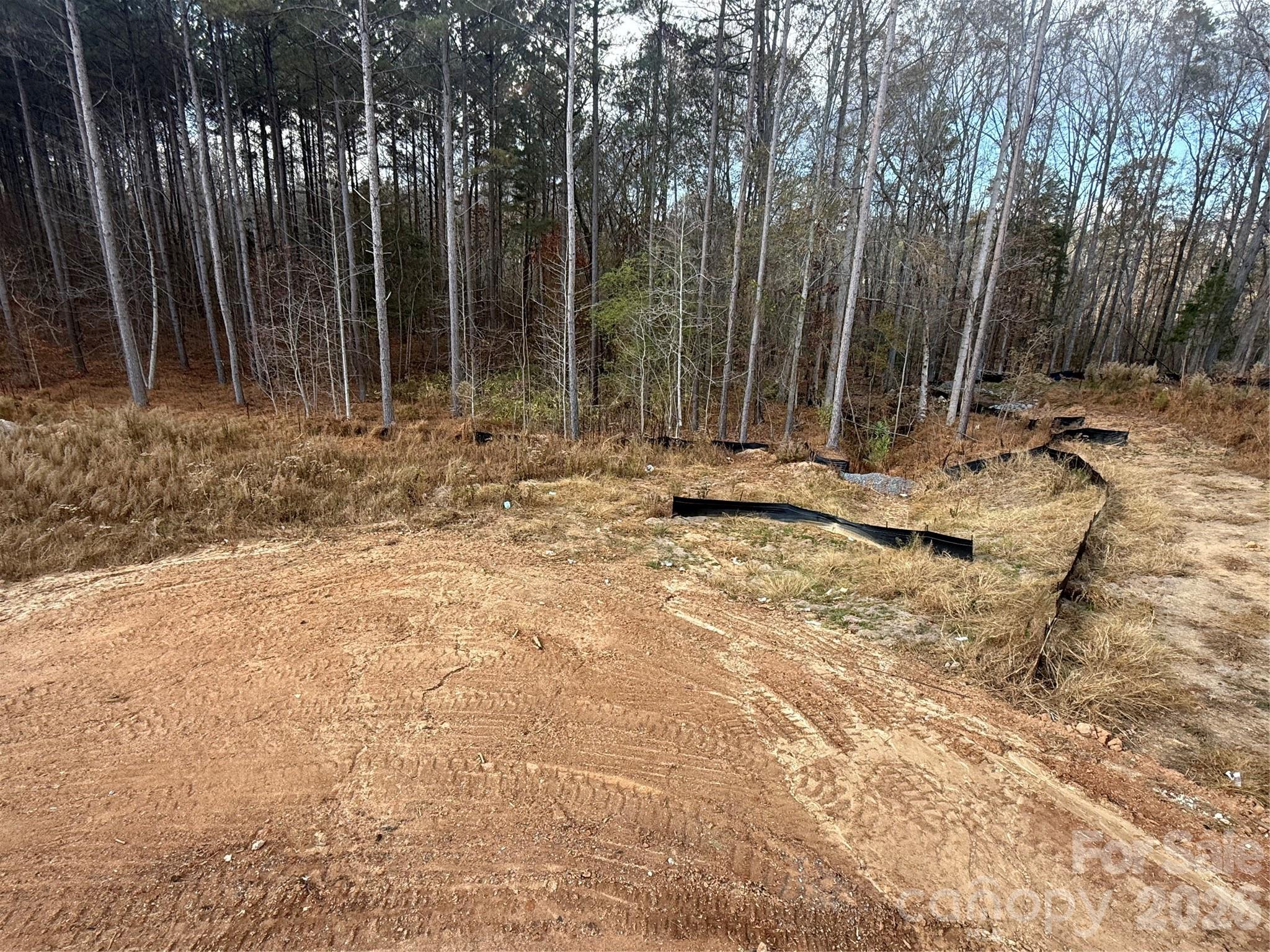 Lauren Pines - Residential