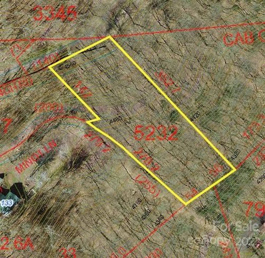 OFFERED WAY BELOW TAX VALUE! Claim nearly an acre of wooded land in a private, natural setting with VIEWS! Great location in Maggie Valley.