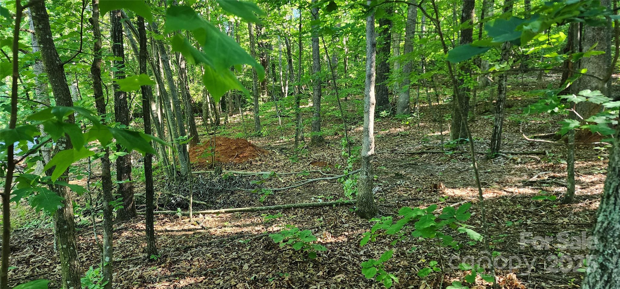 Lot 71 Serpentine Drive 71
