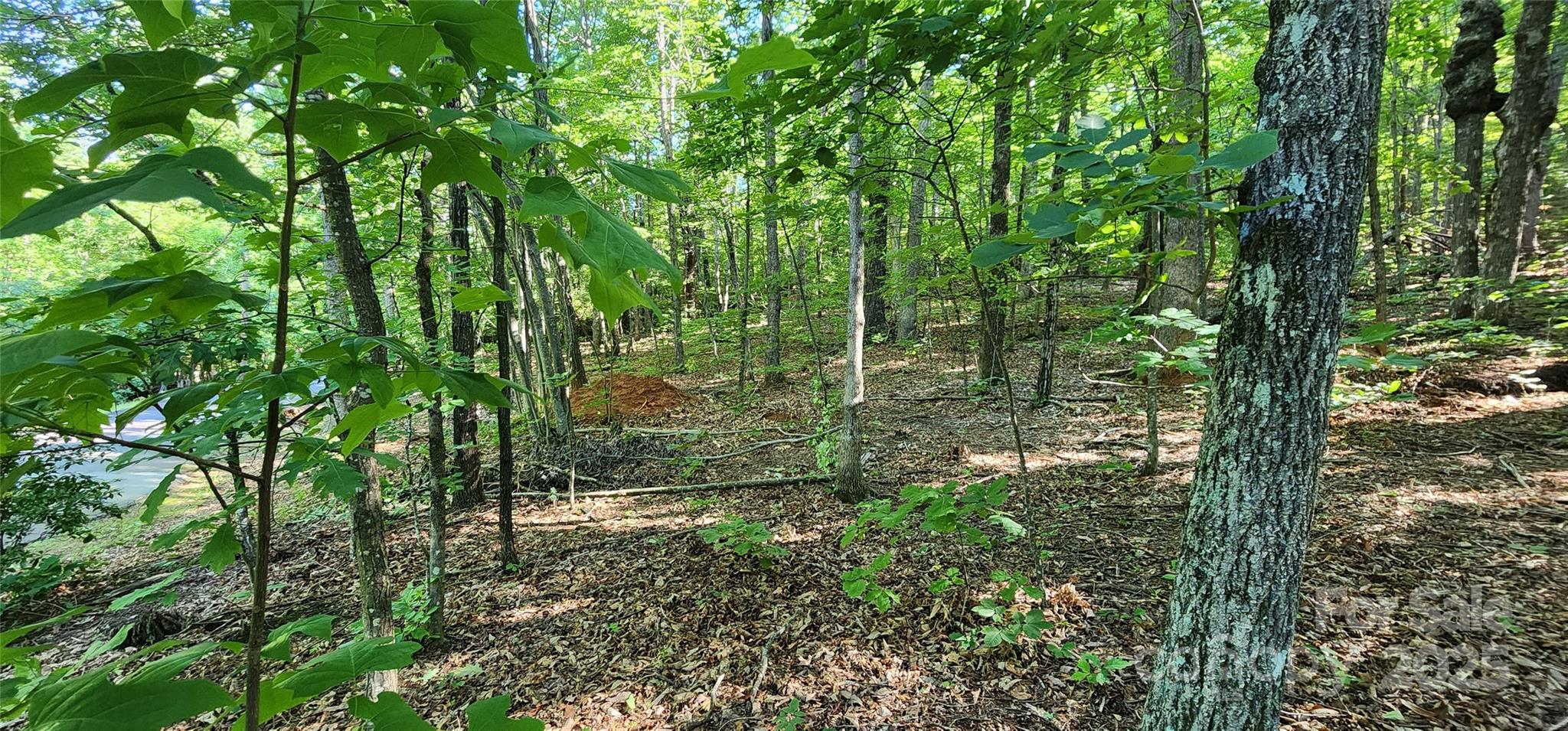Lot 71 Serpentine Drive 71