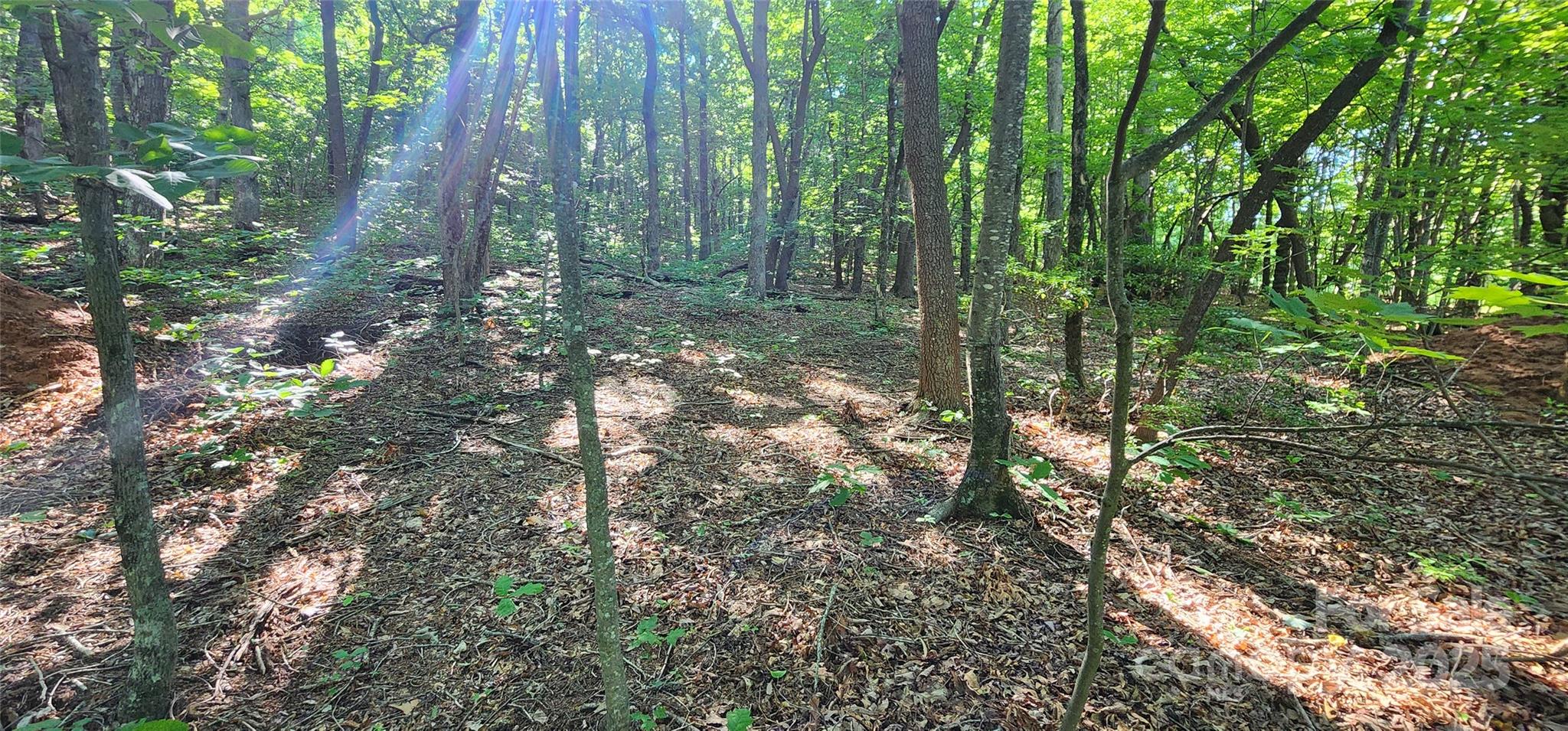 White Oak Mountain - Land