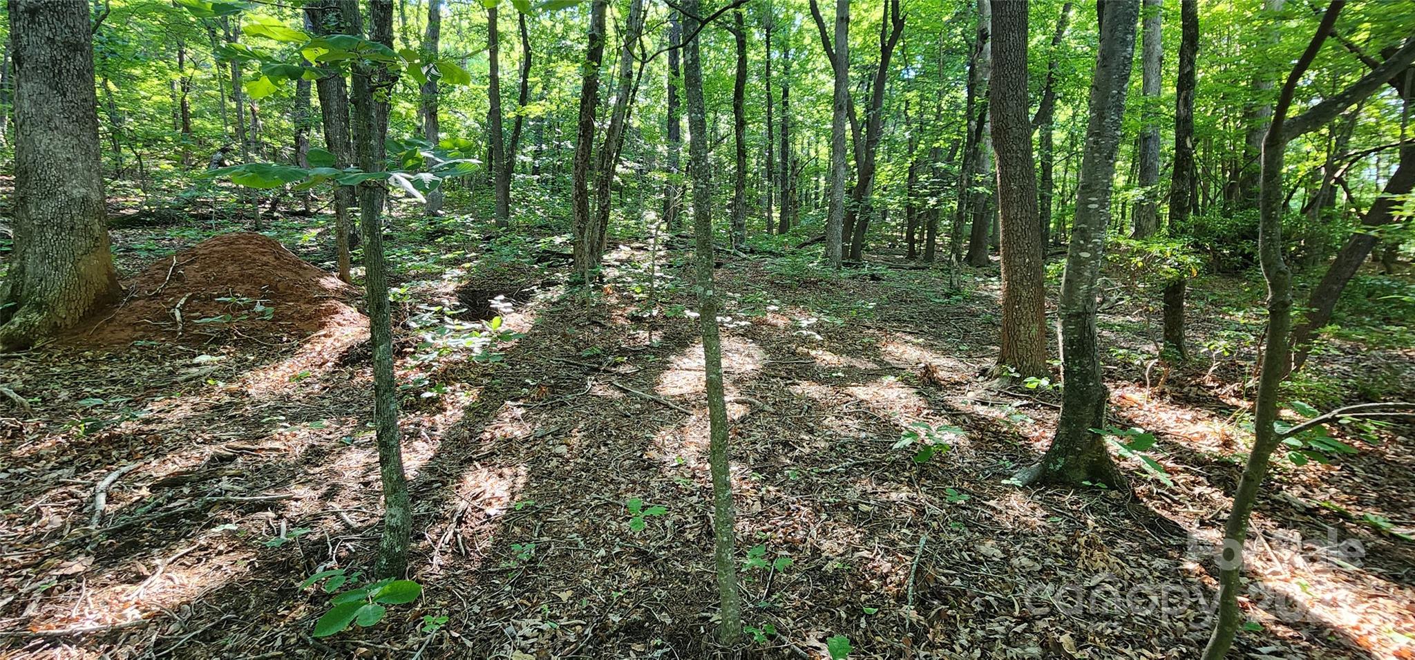 White Oak Mountain - Land