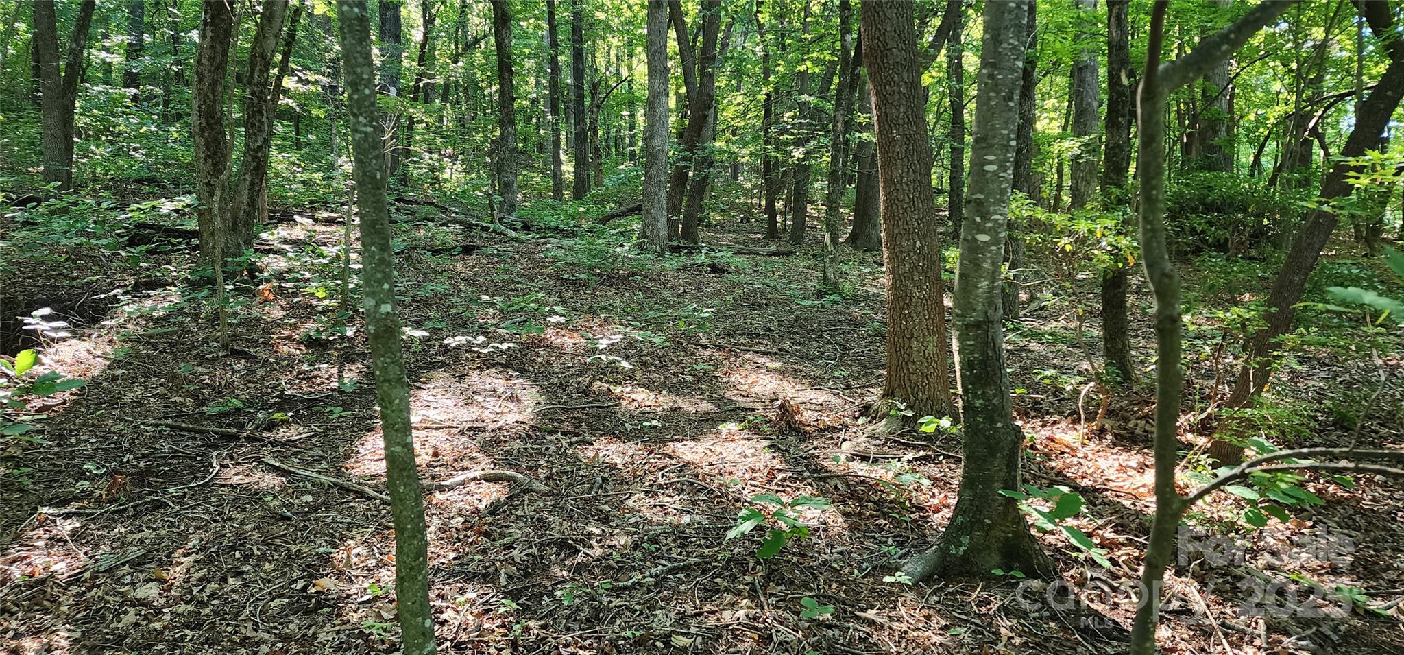 White Oak Mountain - Land