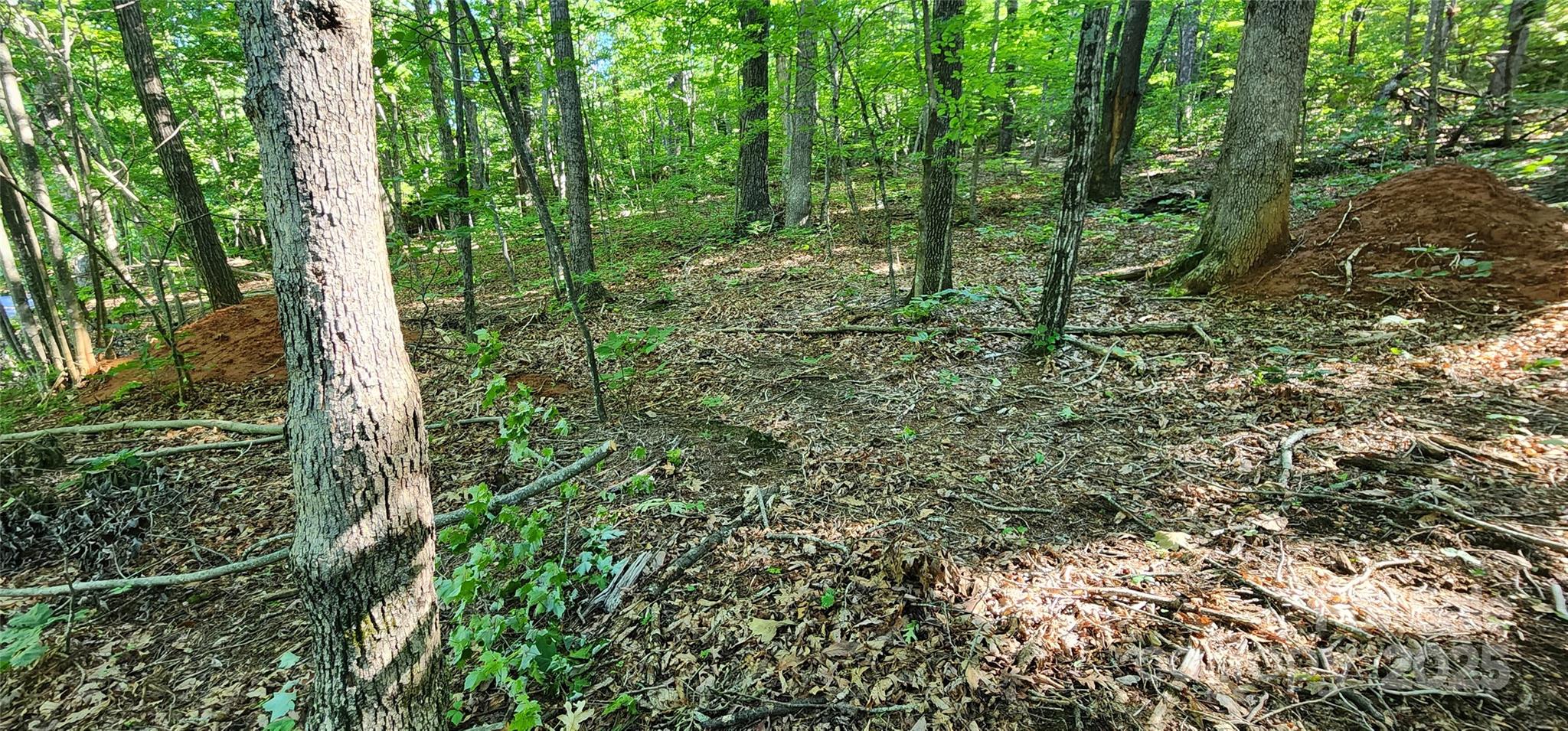 White Oak Mountain - Land