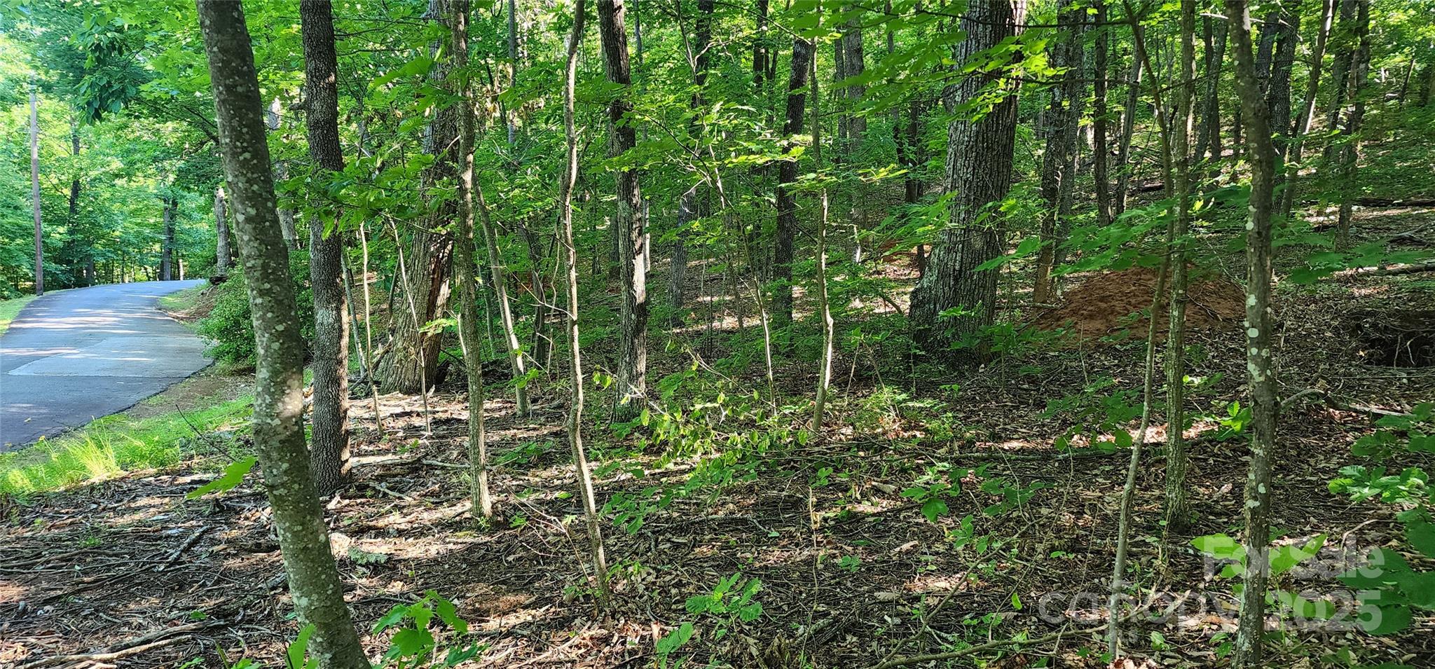 Lot 71 Serpentine Drive 71
