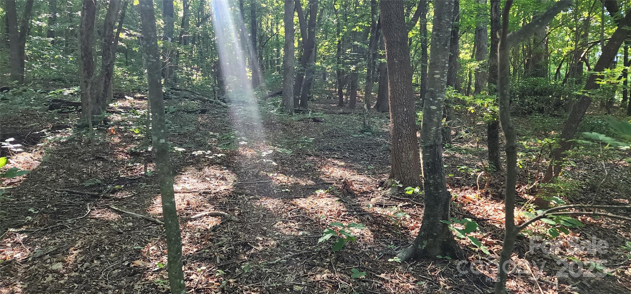 White Oak Mountain - Land