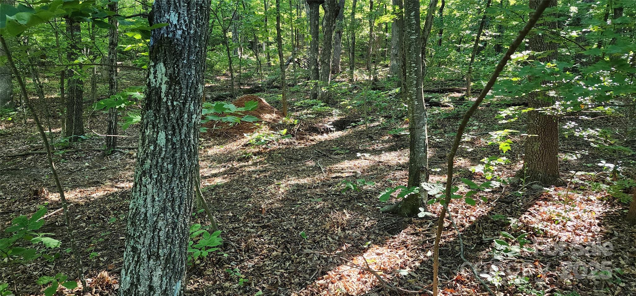 Lot 71 Serpentine Drive 71