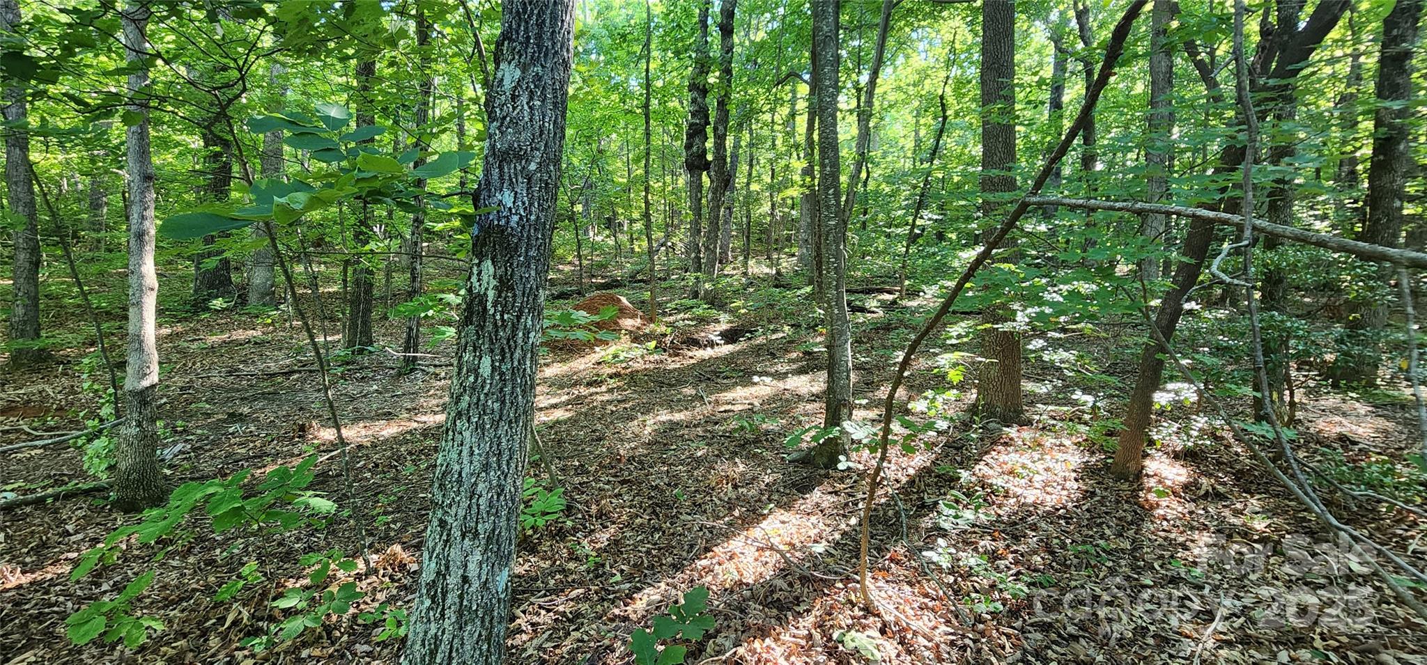 White Oak Mountain - Land