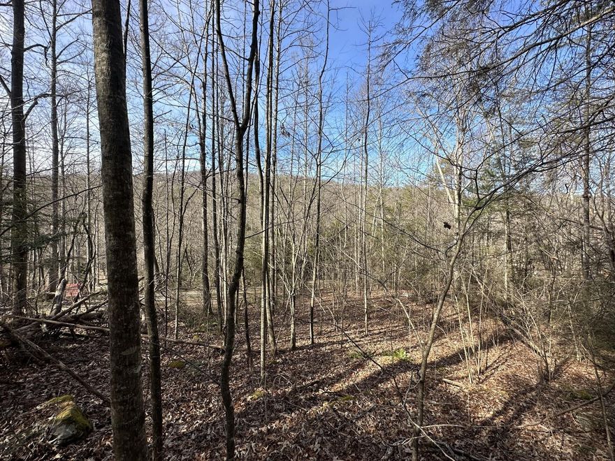 Location - Stoneledge Road, Hendersonville, NC 28792- Henderson County 0.62 acres located just 20 minutes to Main Street Hendersonville 10 minutes to Chimney Rock State Park 15 minutes to Lake Lure 20 minutes to Main Street Hendersonville 25 minutes to Asheville Regional Airport (Mills River) 55 minutes to Biltmore Estate/Asheville 2 hours to Charlotte Buyer to confirm with the county & city zoning departments, we do believe that this lot will be best for a single family home. Lot is part of a subdivision with minor deeded restrictions (single family home with at least 850 sq ft, no time limits to build but complete within 1 year once construction begins, no mobile home/trailer as dwellings; small annual fee to maintain subdivision roads) Availability of utilities - buyer to confirm prior to purchase - electricity is available within the subdivision already; private water well and private septic would need installed Recently perc tested for 2 bedroom septic system.