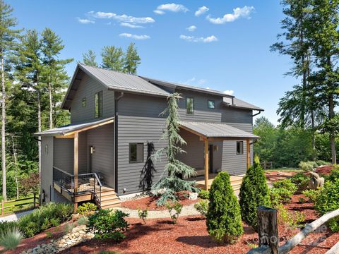 434 Creek Side Drive Mills River NC 28759