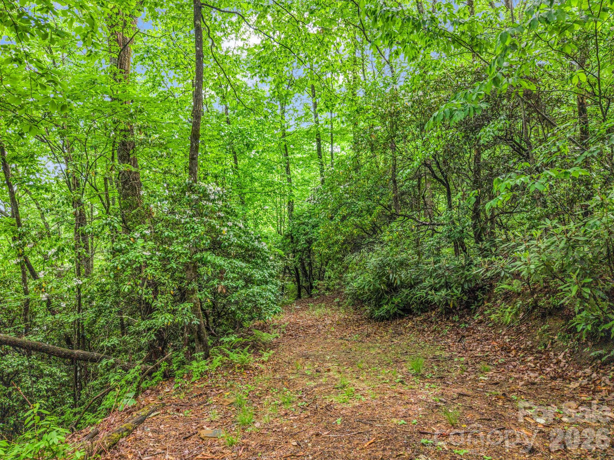 Indian Lake Estates - Land