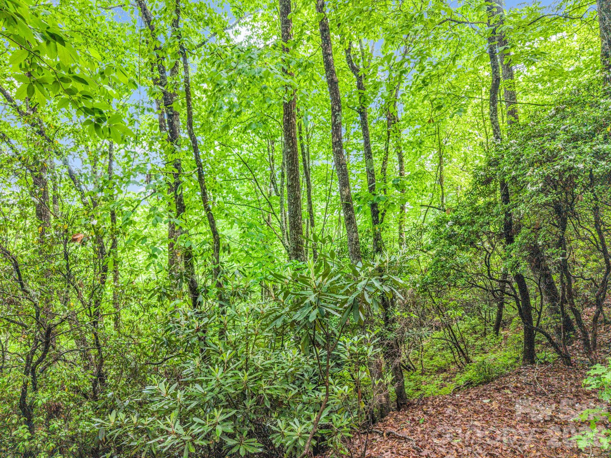Indian Lake Estates - Land
