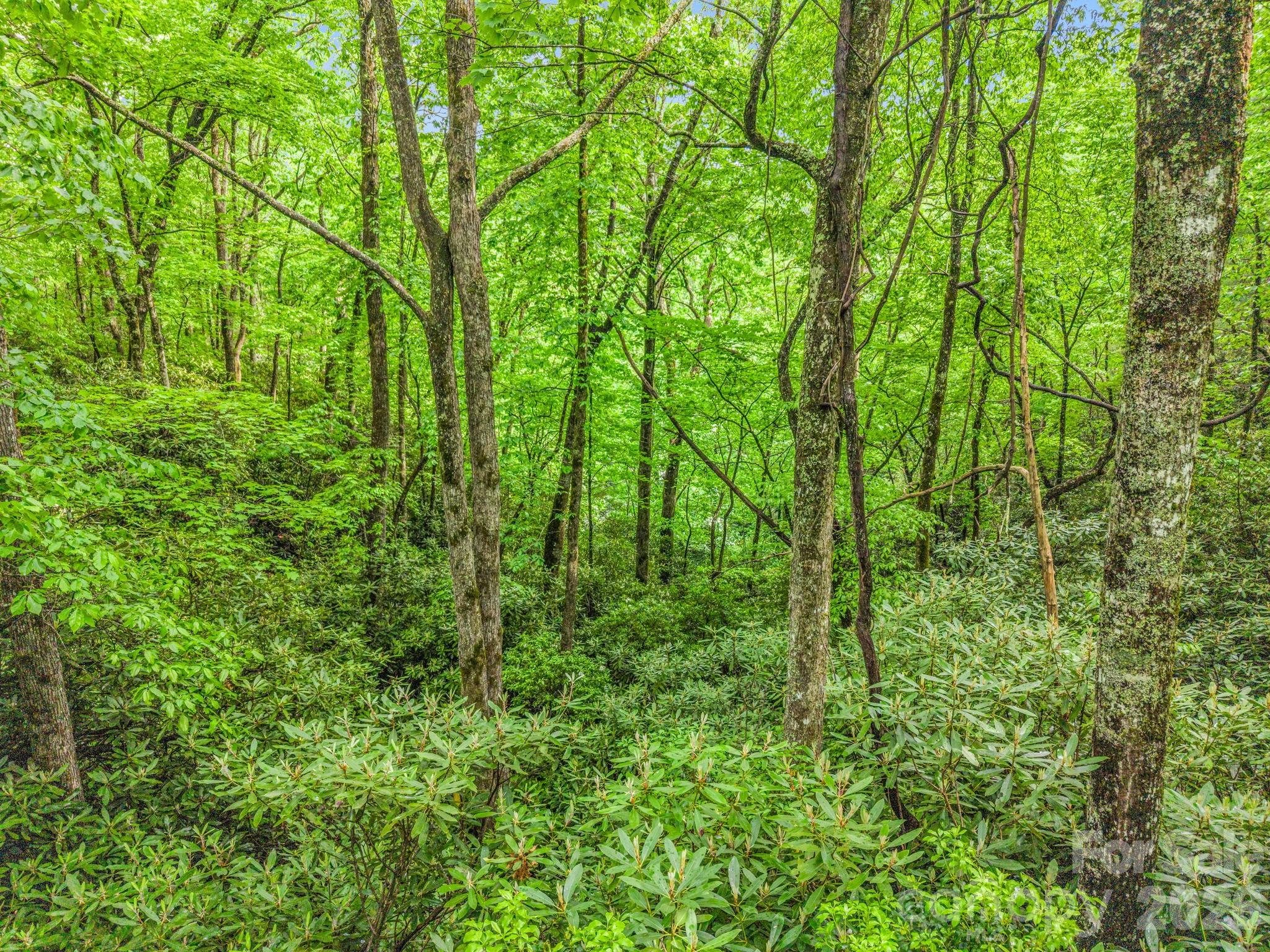 Indian Lake Estates - Land