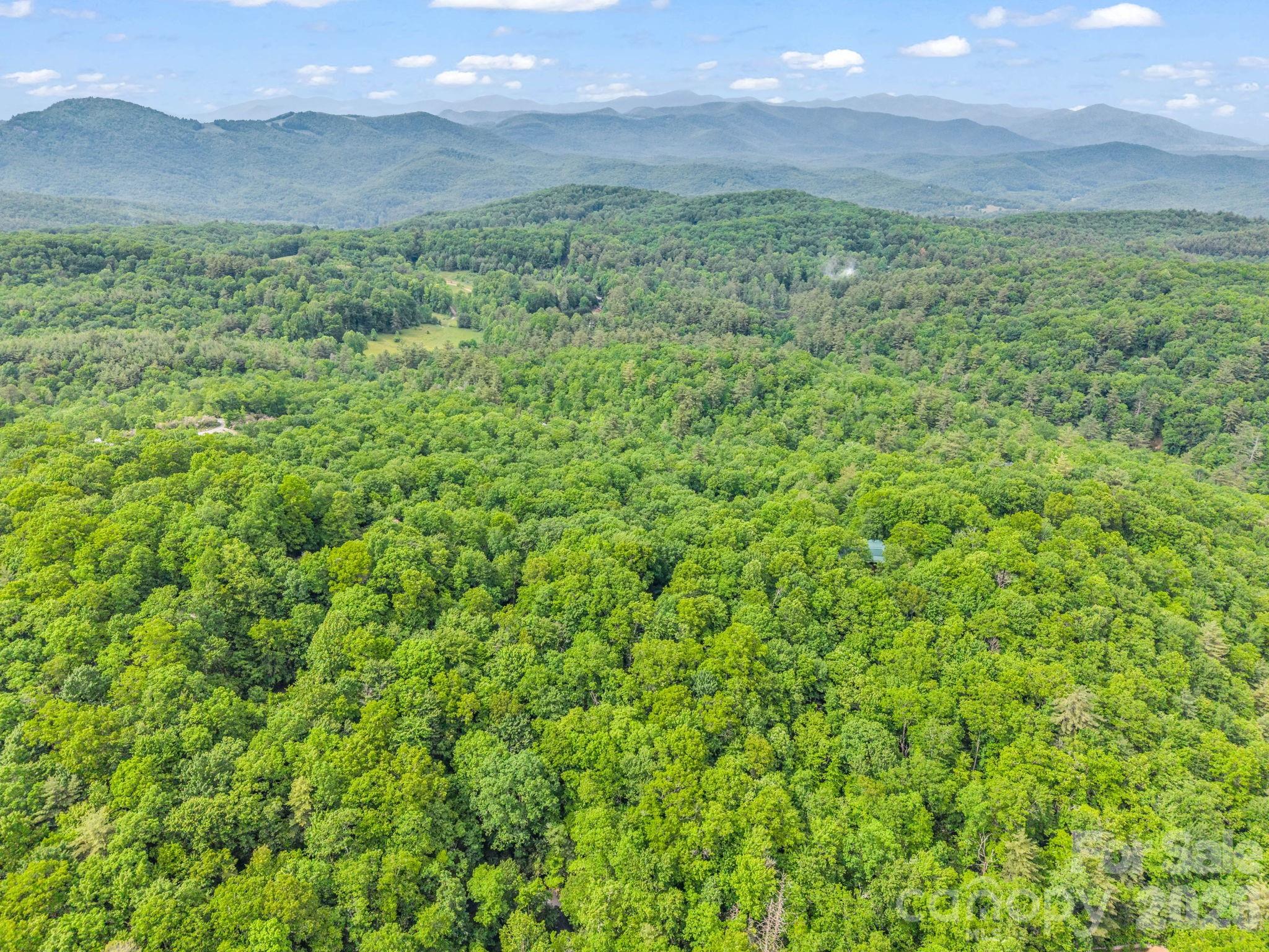 Indian Lake Estates - Land