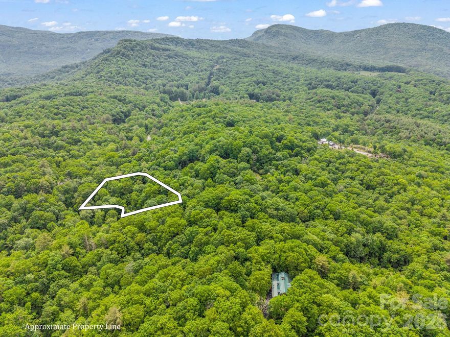 Escape to your own private sanctuary with this rare investment and lifestyle opportunity in Indian Lake Estates. This unique offering features seven non-contiguous mountain lots, each providing a distinct vantage point to experience the ultimate retreat-like setting. Surrounded by a vibrant, untouched ecosystem, these properties are perfect for buyers seeking unparalleled privacy, natural beauty, and exclusive community amenities.Property Highlights include: diverse terrain, building options, or long-term investment potential. Each lot is nestled within dense timber and natural topography, creating a peaceful, secluded haven away from the hustle of everyday life. Whether you are looking to build a multi-property family compound in the neighborhood, secure a diverse land portfolio, or establish a personal mountain refuge with premier water access, this Indian Lake Estates collection delivers the perfect balance of alpine solitude and recreational luxury. All parcels available 8523-26-3326-000,
8523-26-5324-000, 8523-26-5292-000 , 8523-36-1585-000, 8523-37-0232-000, 8523-37-0753-000 , 8523-37-9669-000