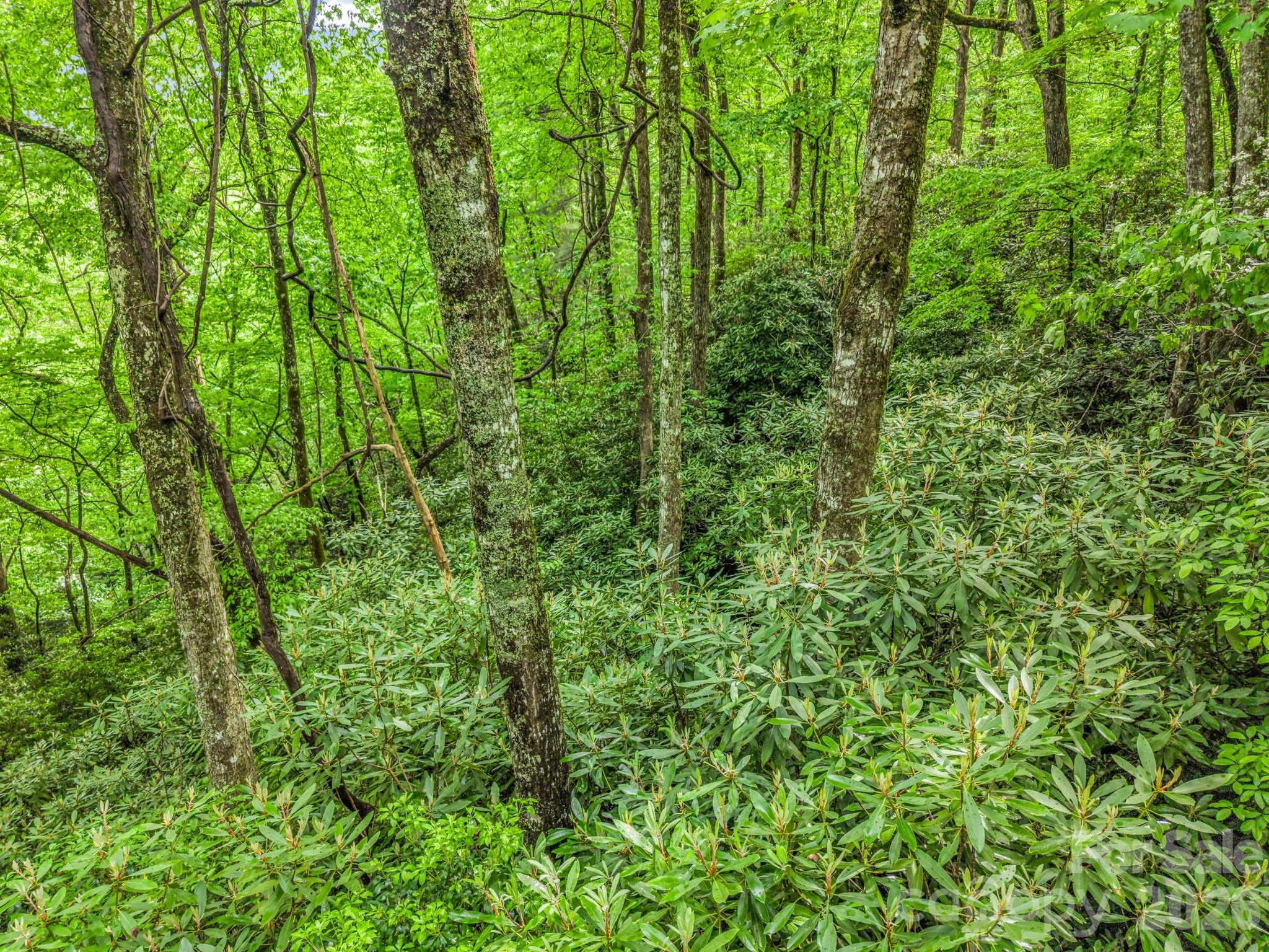 Indian Lake Estates - Land
