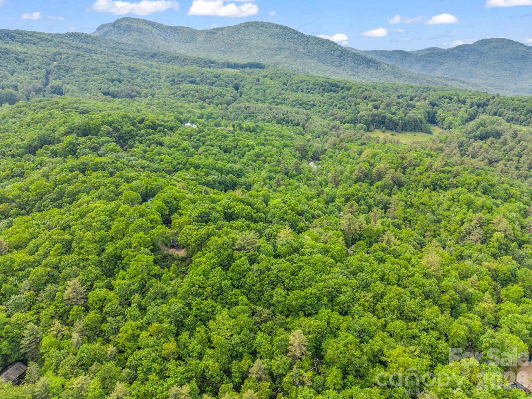Indian Lake Estates - Land
