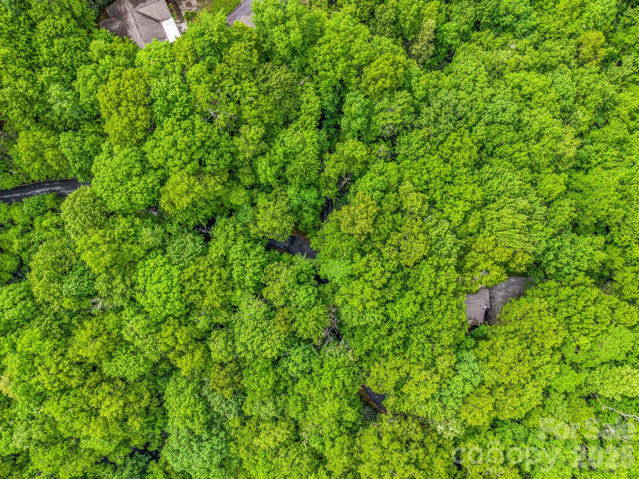 Indian Lake Estates - Land