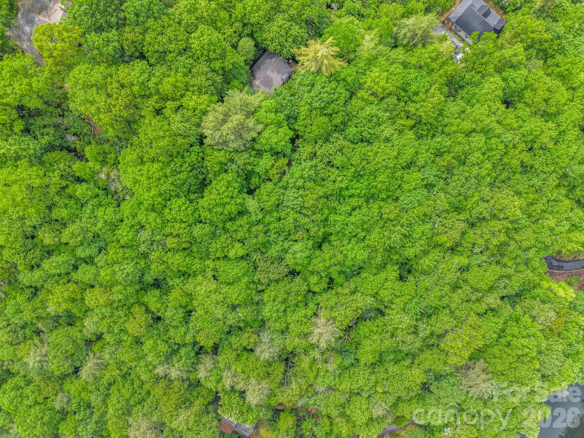 Indian Lake Estates - Land