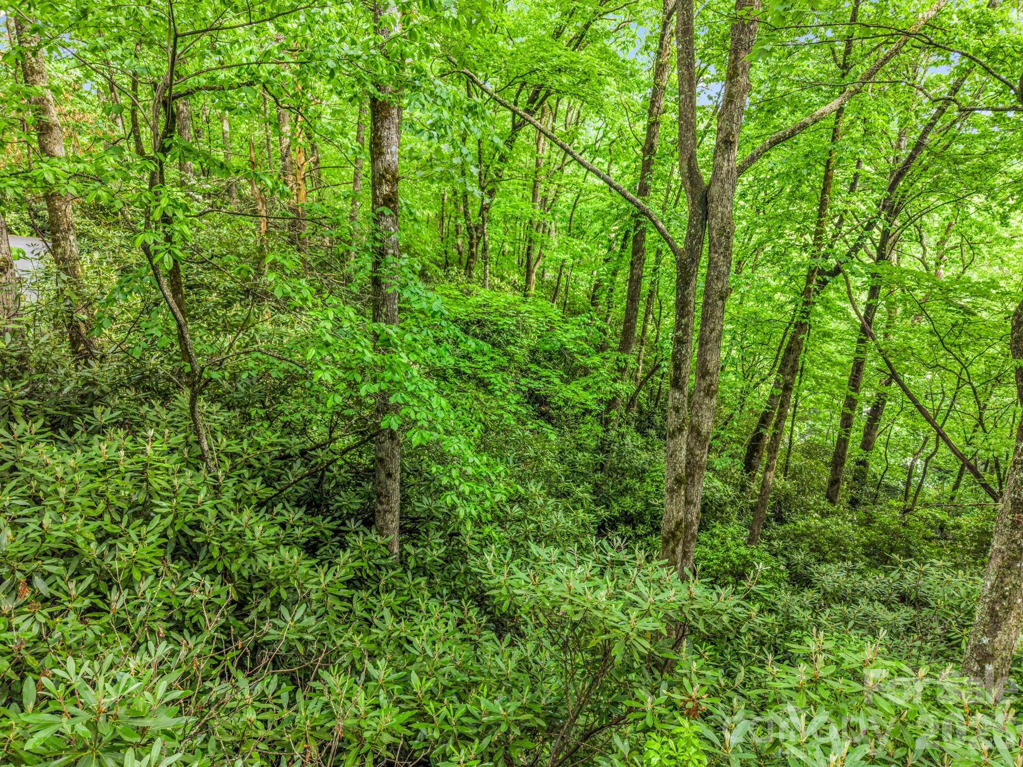Indian Lake Estates - Land