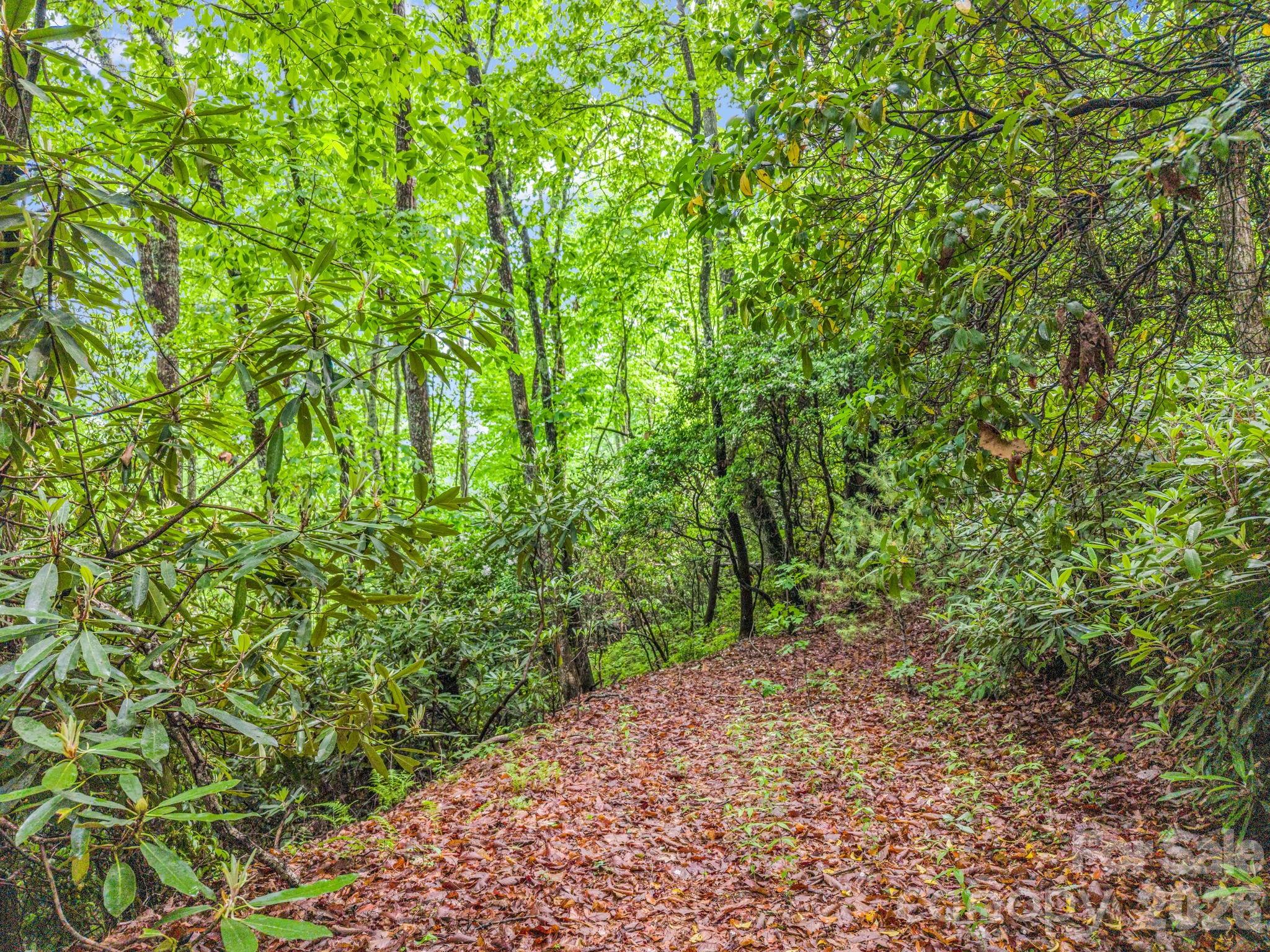 Indian Lake Estates - Land