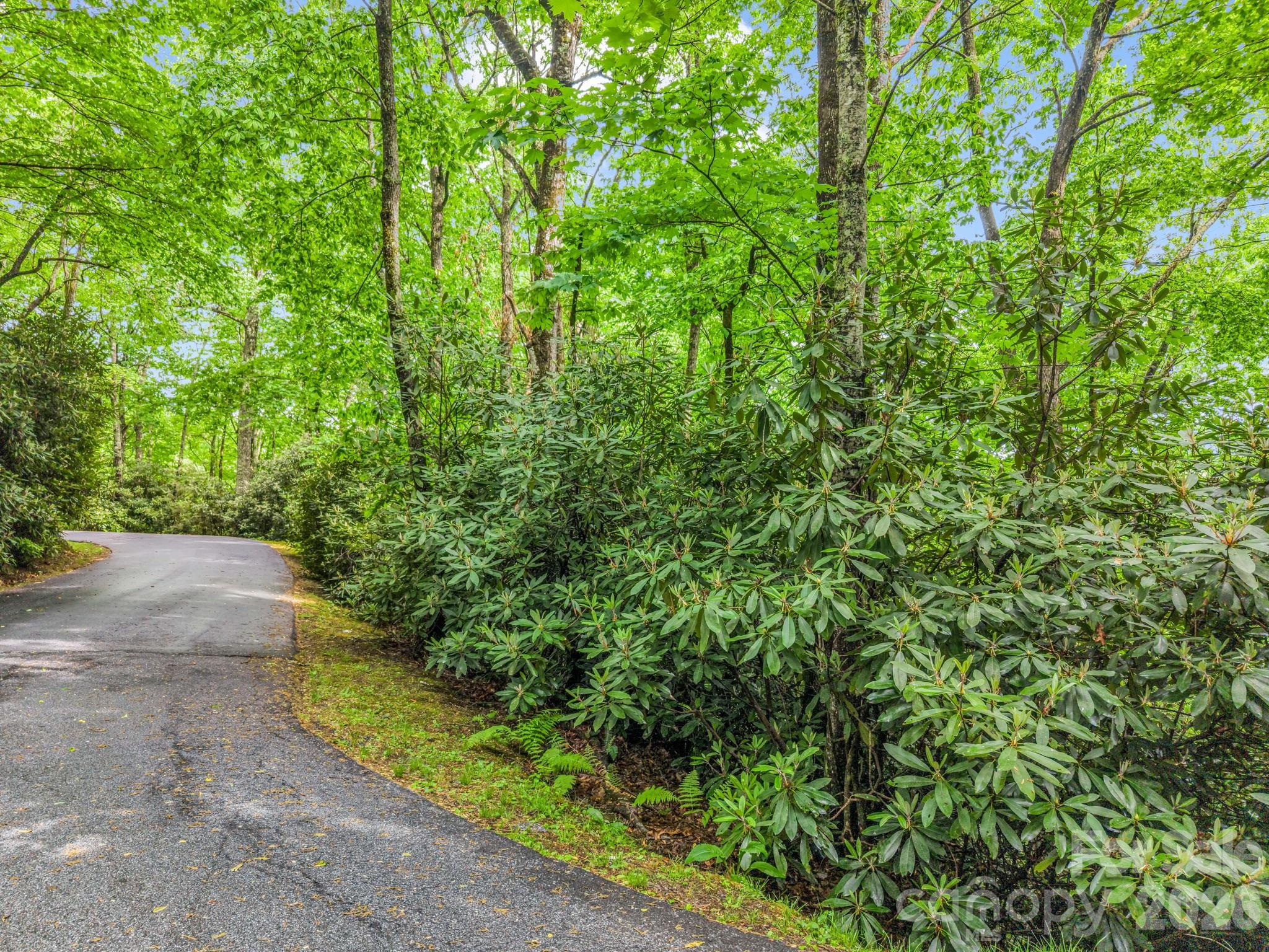 Indian Lake Estates - Land