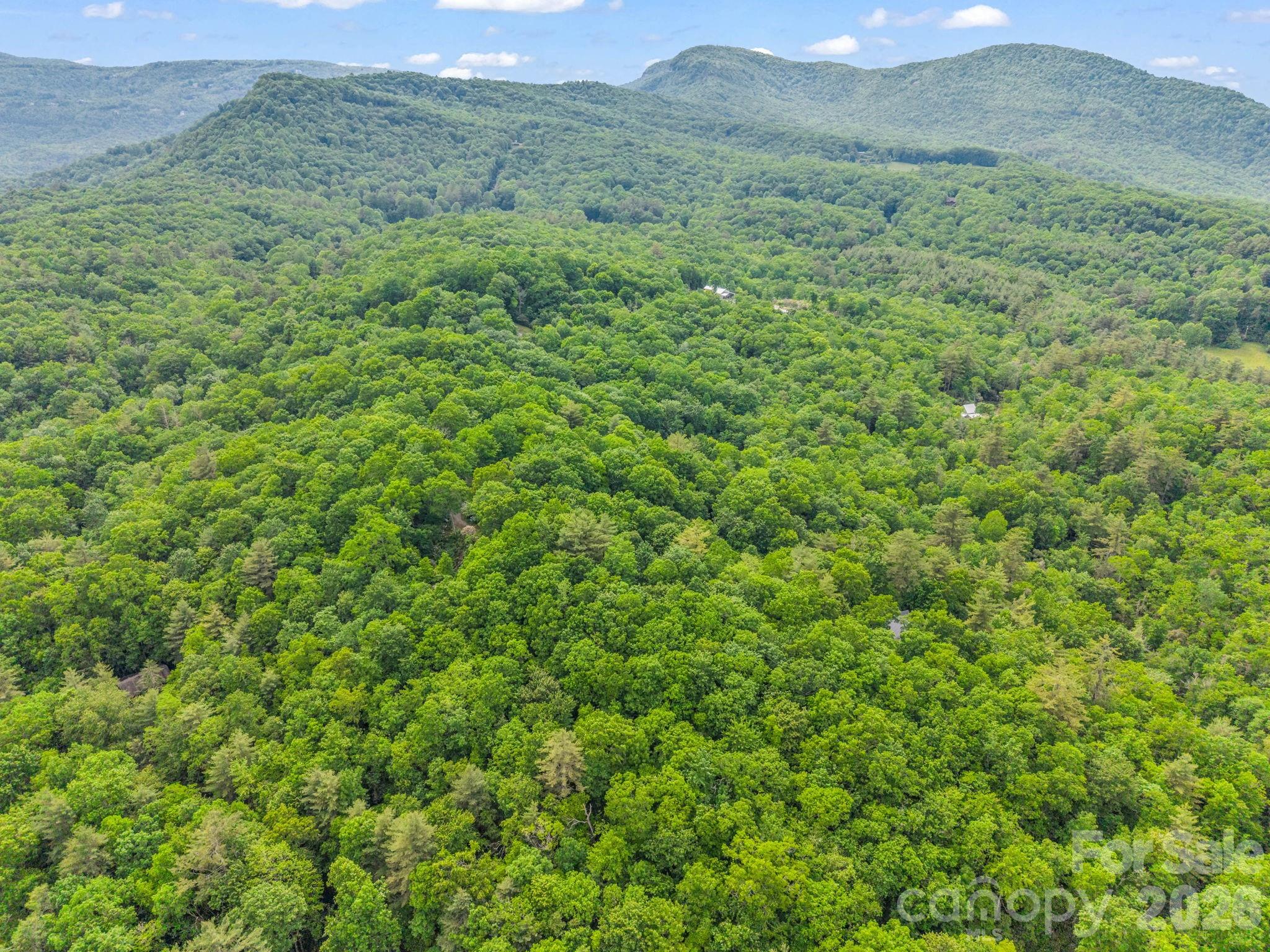 Indian Lake Estates - Land